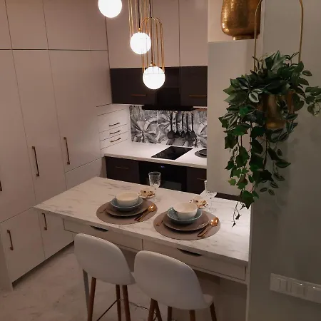 Lägenhet Siedmiogrodzka - Handy Location, Aircon & Garage Free